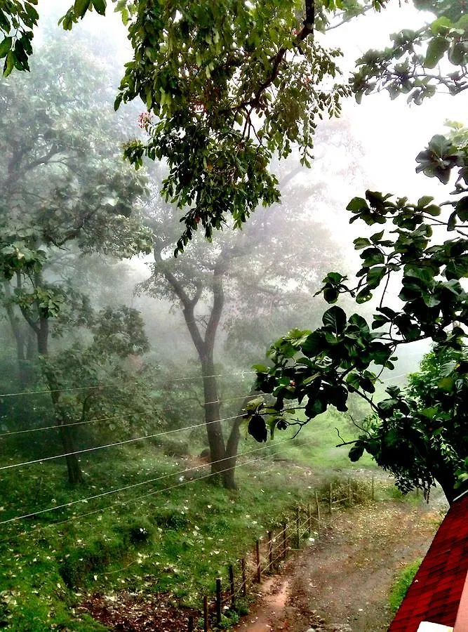 Wild Window - Forest View Homestay Thekkady India