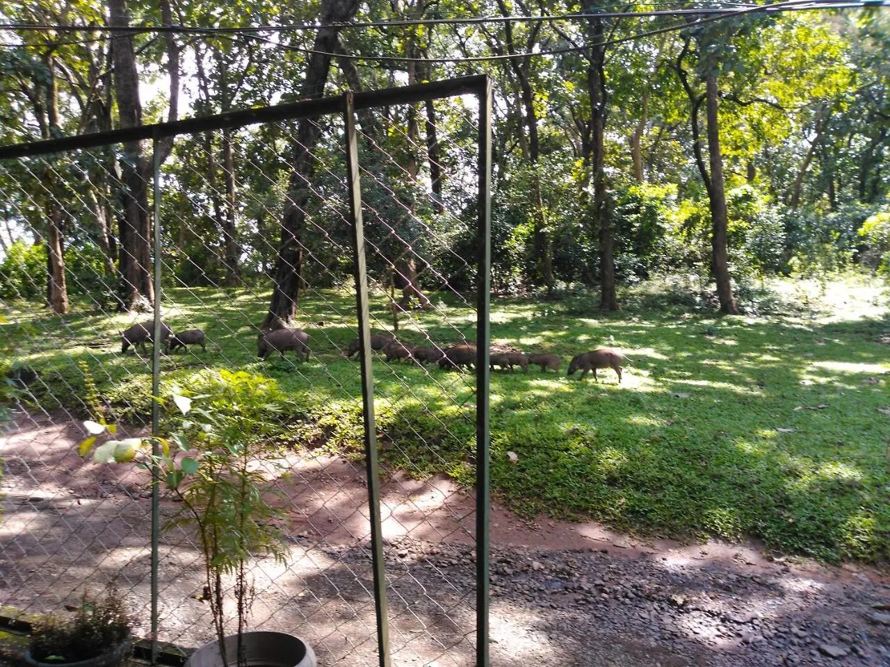 Wild Window - Forest View Homestay Thekkady