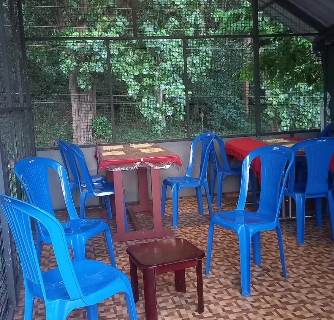 Wild Window - Forest View Homestay Thekkady India