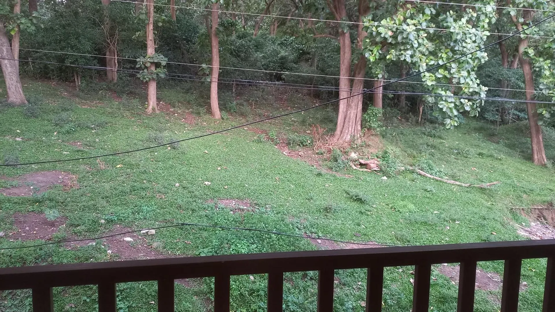 Wild Window - Forest View Homestay Thekkady 0*,