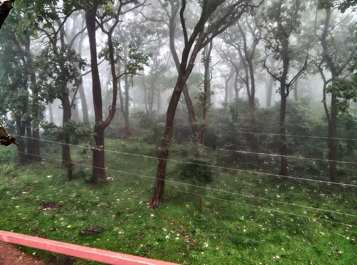 Wild Window - Forest View Homestay Thekkady