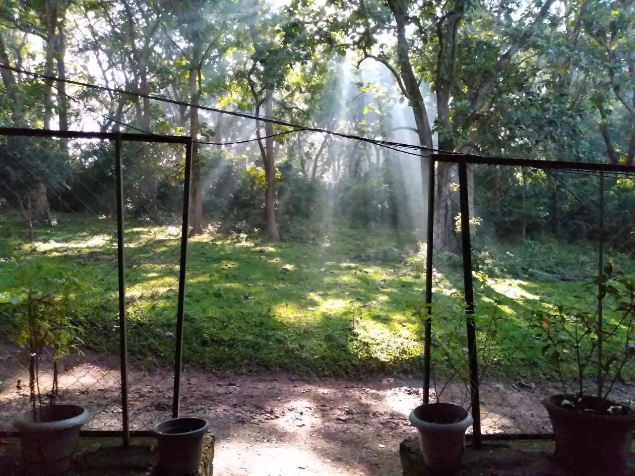Wild Window - Forest View Homestay Thekkady India