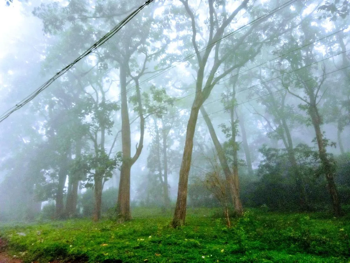 Wild Window - Forest View Homestay Thekkady